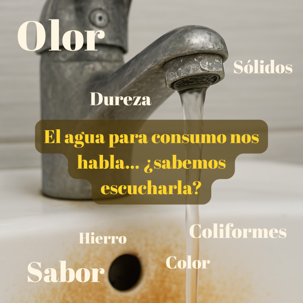 Agua de consumo, caracterisiticas y aspectos claves para garantizar nuestra salud